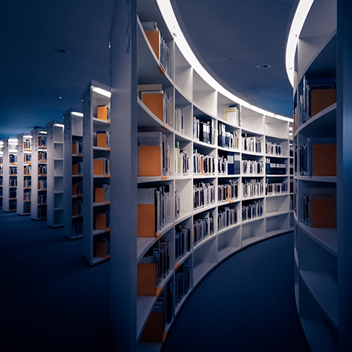 Образование